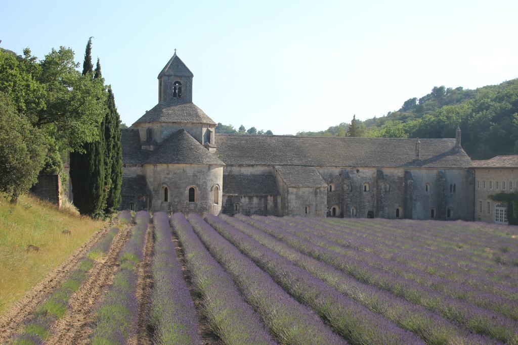 Les Guillaume Rey * Oppède